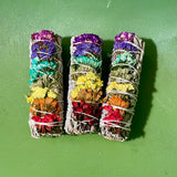 White Sage with Rainbow Sinuata Flower // 3-4"