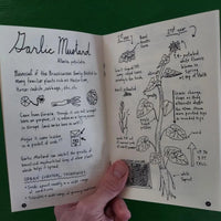 Urban Field Guide To the Herbs in Your Path (Zine)