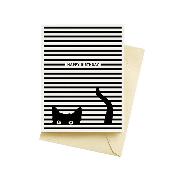 cat stripes birthday card // seltzer goods // hey tiger louisville